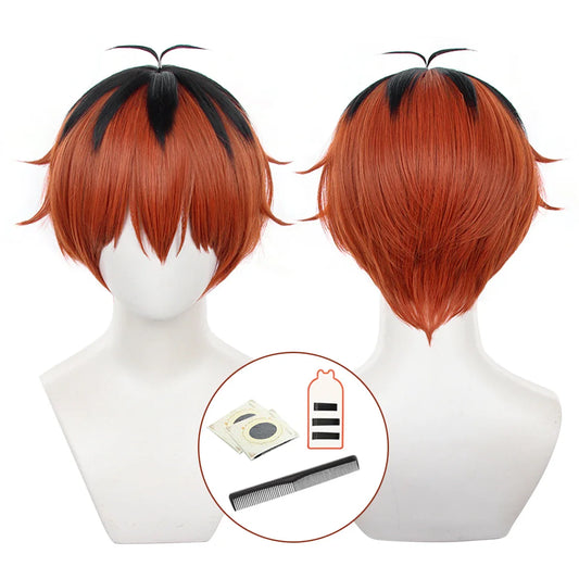 Frieren - Perruque Stark pour cosplay
